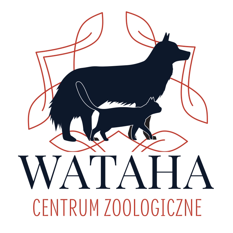 Centrum Wataha